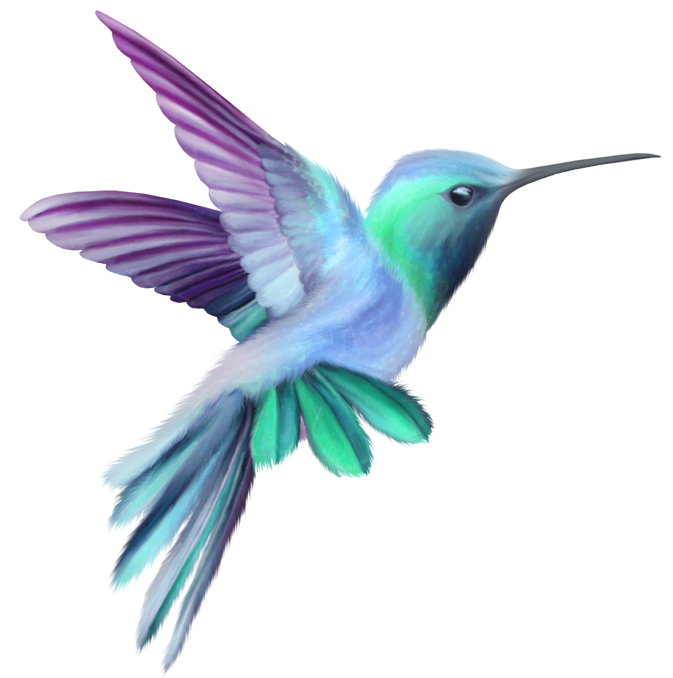 1363x1373 Huge Collection Of 'hummingbird And Flower Clipart' Download More