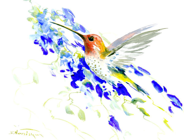600x457 Hummingbird Drawings Fine Art America
