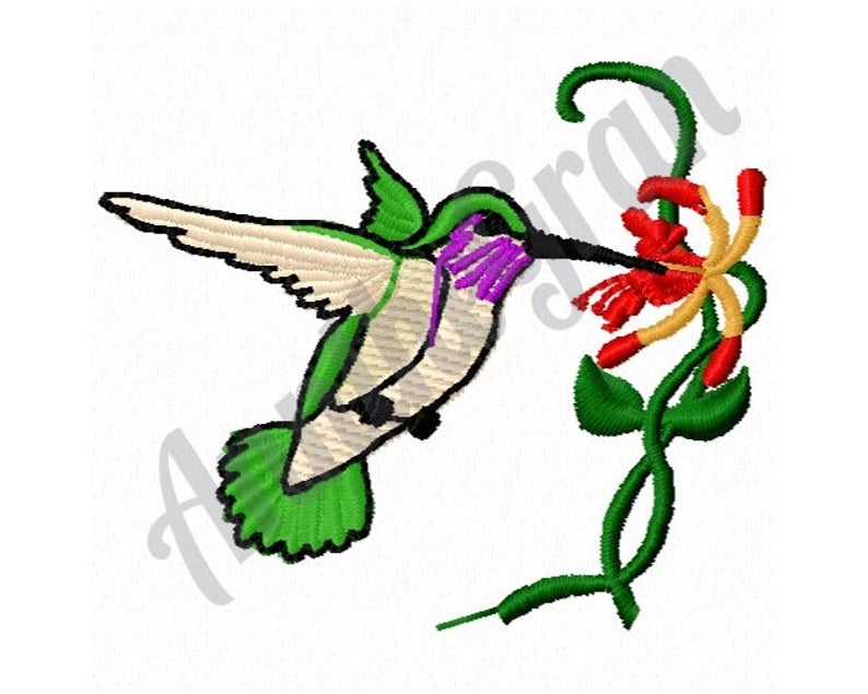 794x635 Hummingbird Machine Embroidery Design Honeysuckle Etsy