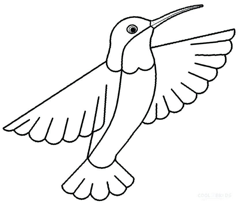 850x718 How To Draw A Hummingbird For Kids Hummingbird Ac B Home