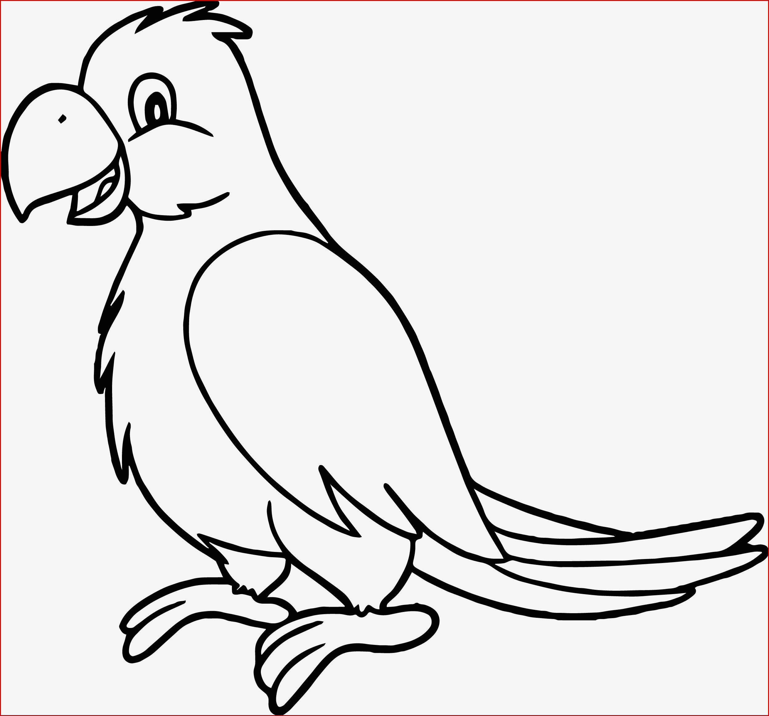 2497x2326 hummingbird coloring pages coloring birds best image humming