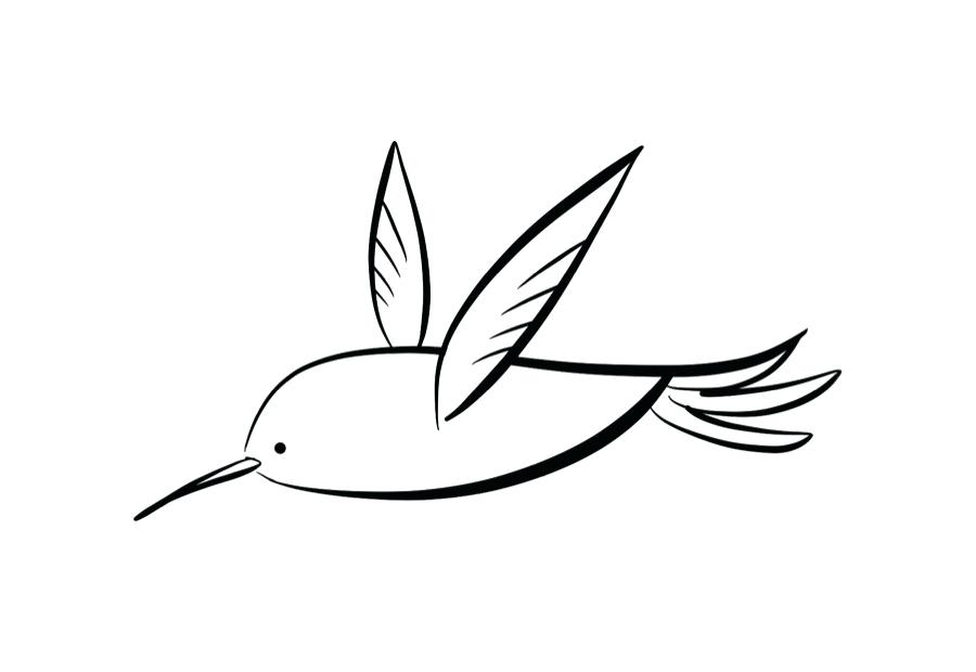 Hummingbird Line Drawing | Free download on ClipArtMag