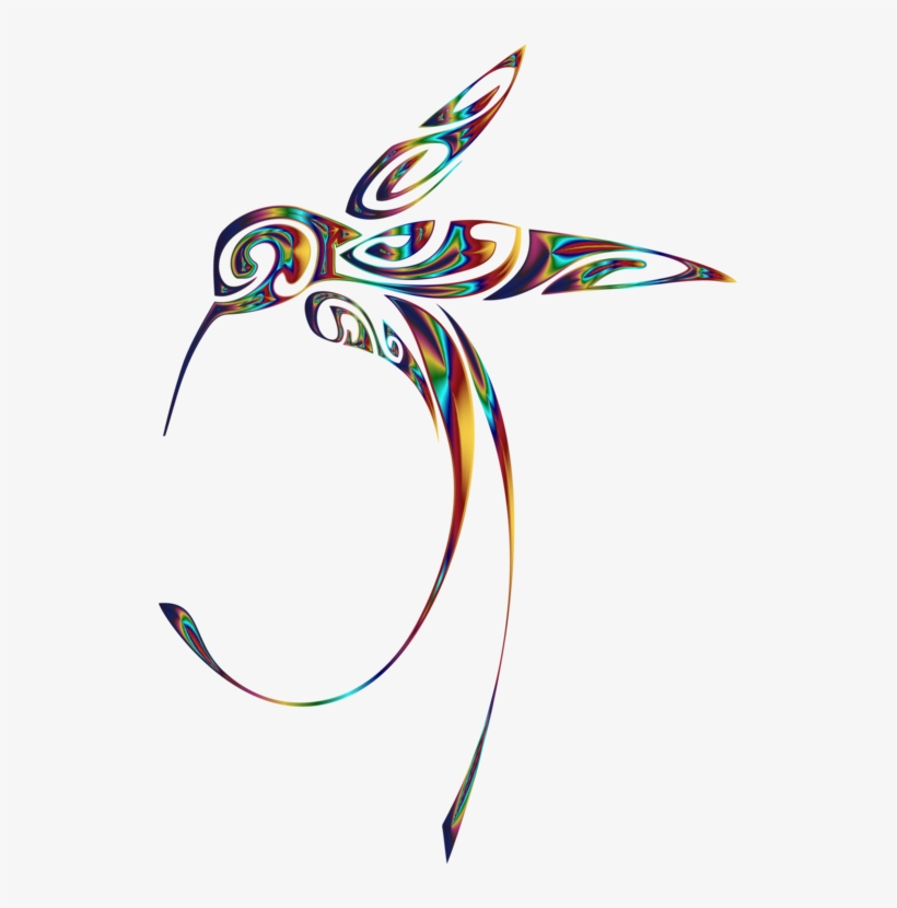 820x830 Line Art Hummingbird Drawing