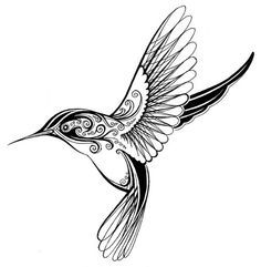 236x241 Pictures Hummingbird Line Drawings