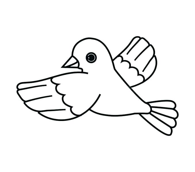 678x600 Simple Bird Outline Outline Of A Bird Extraordinary Bird Outline