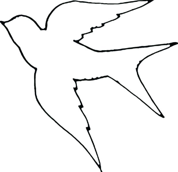 618x600 Outline Of Bird