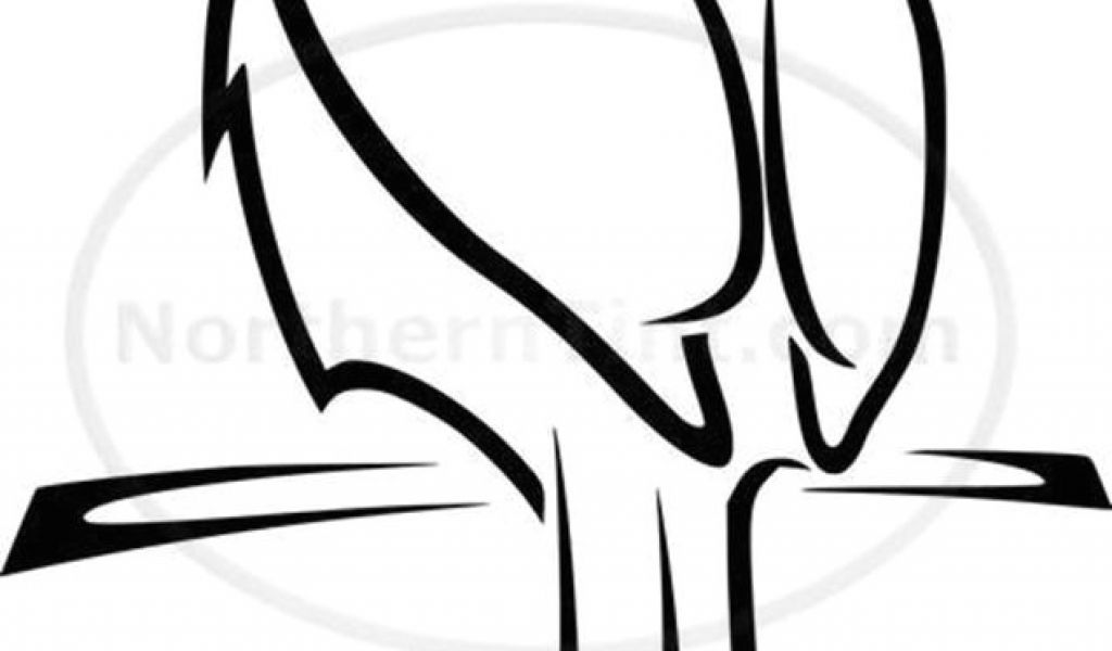 1024x600 Drawing A Cartoon Hummingbird How To Draw A Bird Step