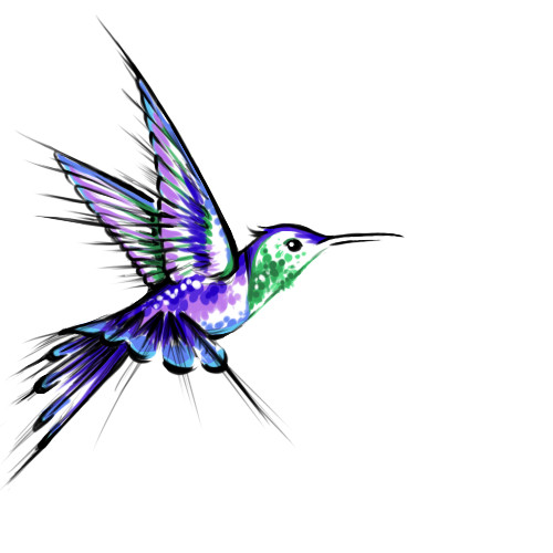 500x500 Hummingbird Tattoo Best Of Hummingbird Tattoo Drawing