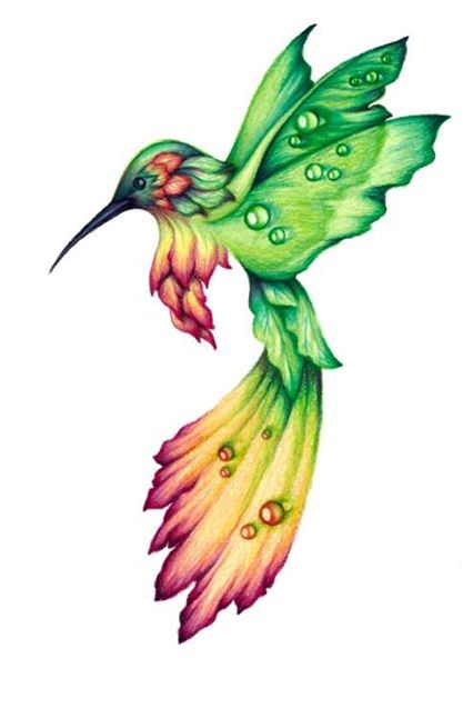 417x646 Birds Art, Hummingbird Drawing, Bird