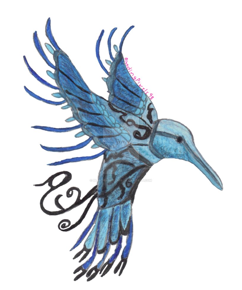 816x979 Traditional Art Hummingbird Tattoo