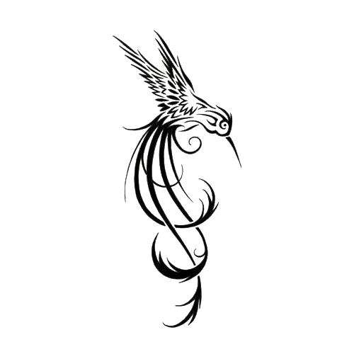 500x500 Tribal Hummingbird Tattoo Sample Tattoo Ideas