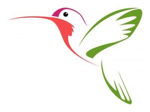 300x224 Amazing Hummingbird Tattoo Sketch Design