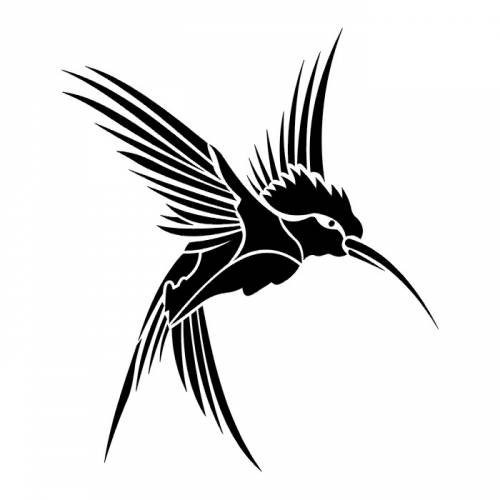 500x500 Black Hummingbird Tattoo Sketch Design Ideas