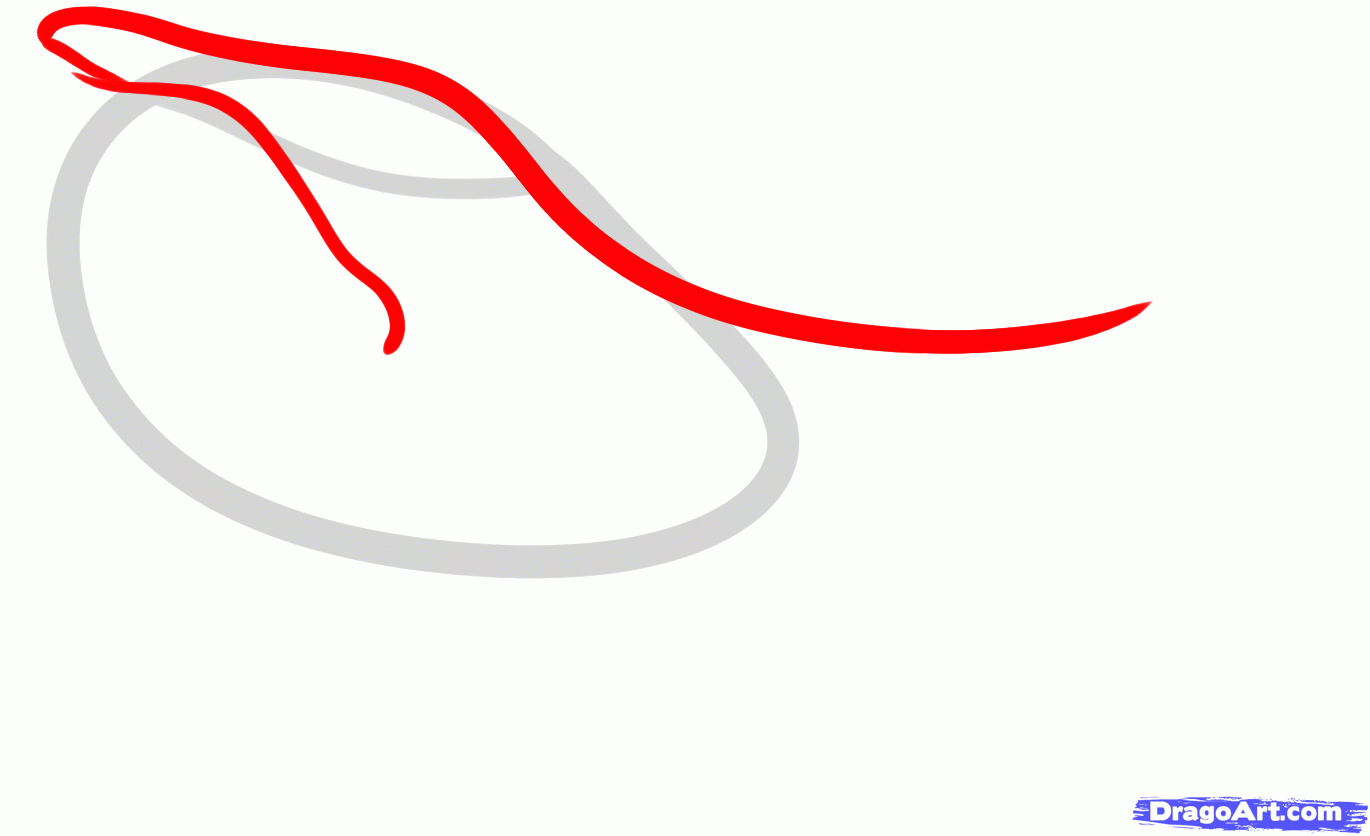 1370x836 how to draw a humpback whale, humpback whale, step