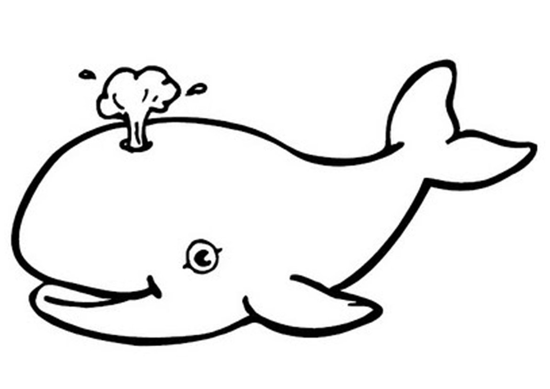 1111x785 Humpback Whale Clipart Draw