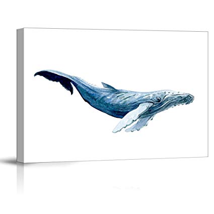 Humpback Whale Drawing | Free download on ClipArtMag