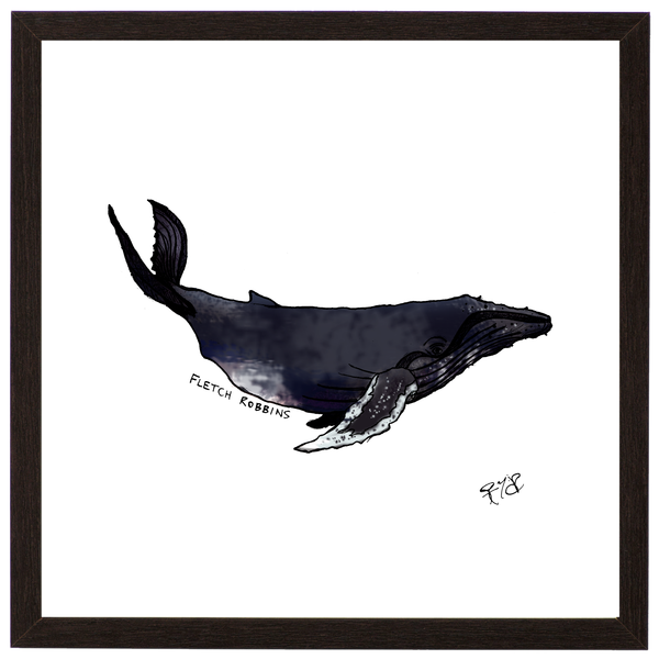 600x600 Humpback Whale Fletchrobbins