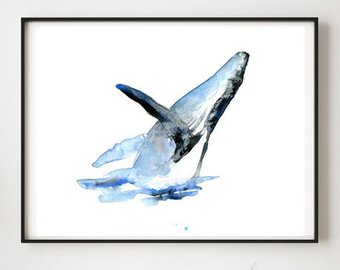340x270 Blue Whale Drawing Etsy