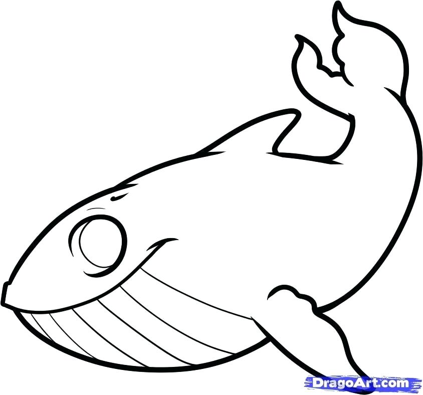 844x788 Easy Way To Draw A Whale How To Draw Cute Cartoon Blue Whale Easy