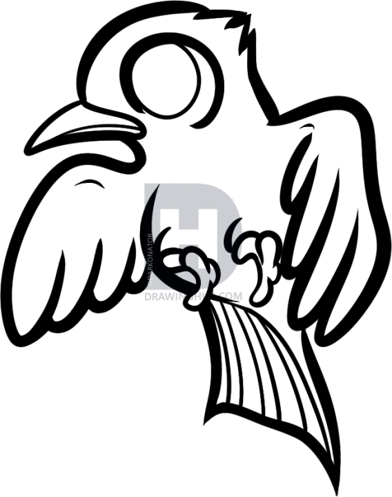 568x720 how to draw a chibi mockingjay, mockingjay from hunger games, step