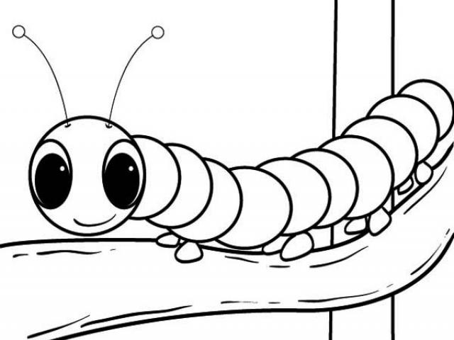 640x480 drawn caterpillar hungry caterpillar