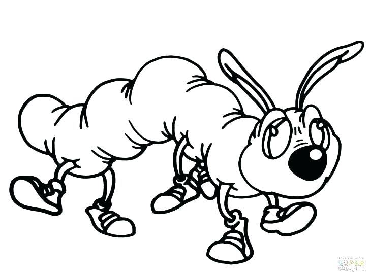 728x546 Very Hungry Caterpillar Coloring Pages Lovely Beautiful Ideas