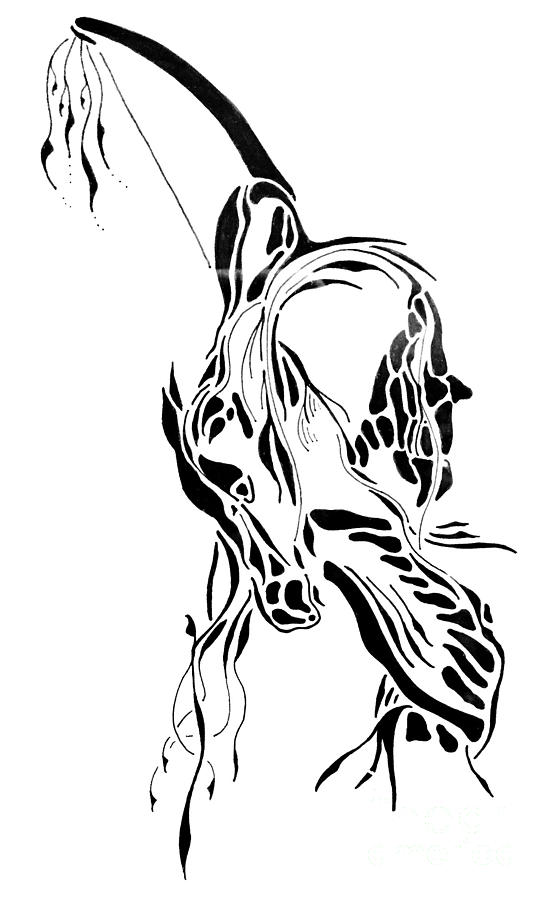 552x900 Hunter Drawing