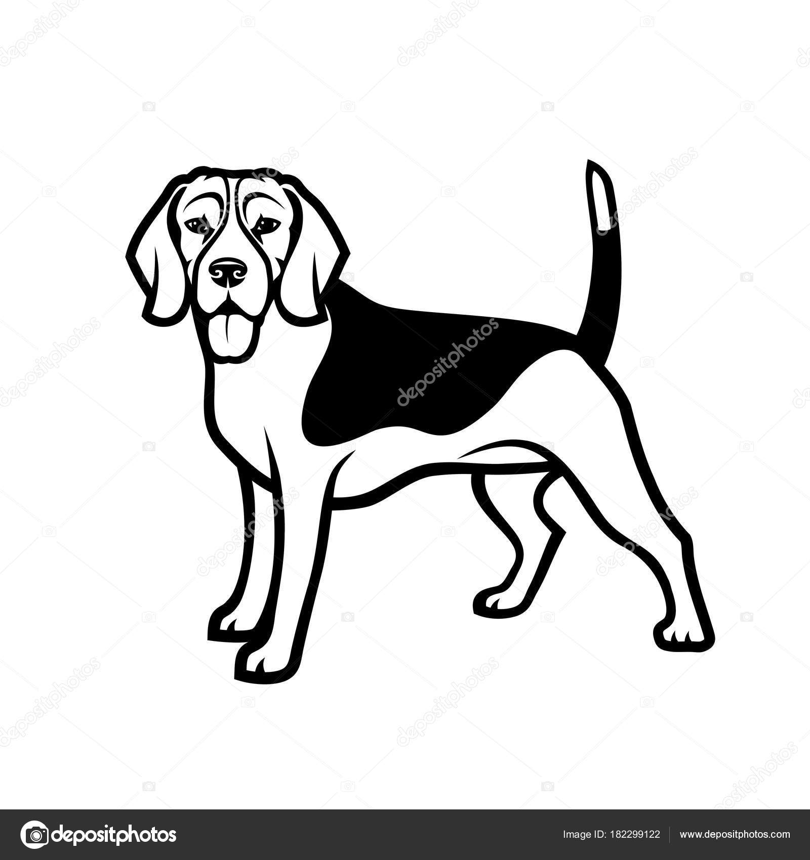 1600x1700 Beagle Drawing Hunting For Free Download