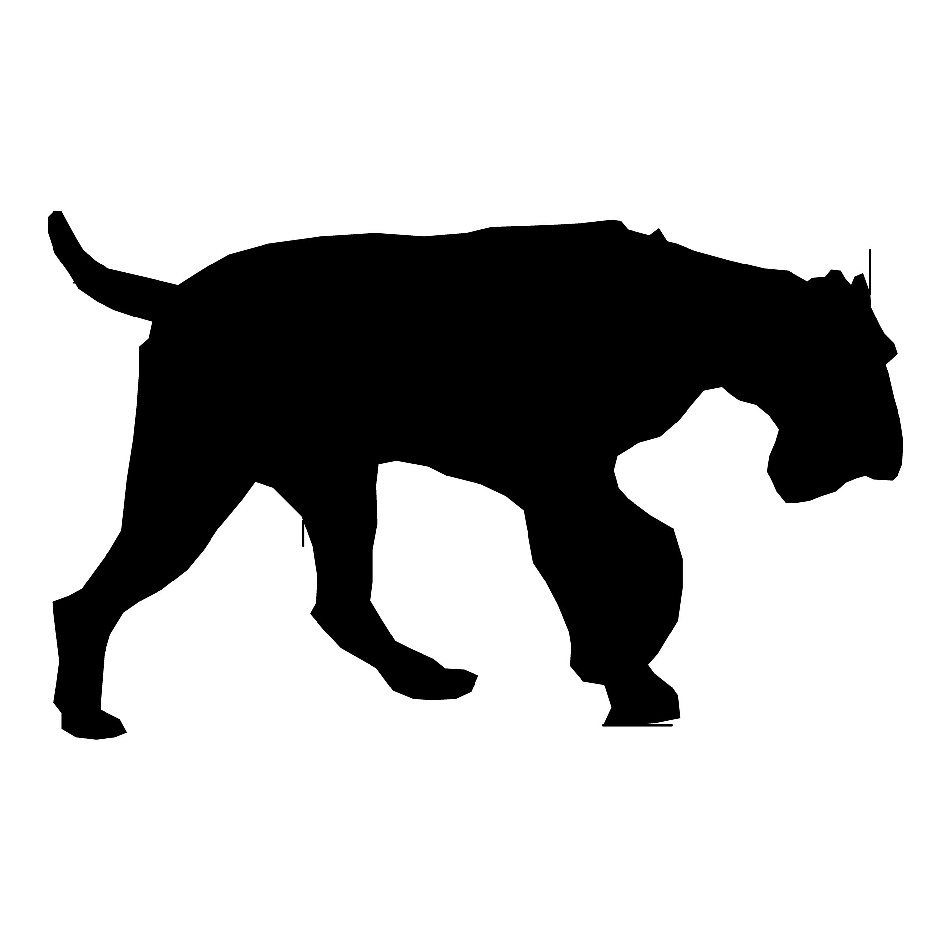 1920x1920 Hunting, Dog, Drawing, Vector, Sketch