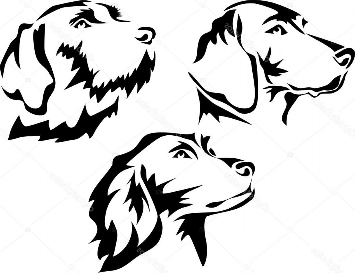 1227x942 Hunting Dog Vector Soidergi