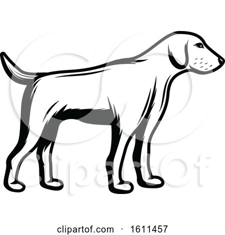 450x470 Hunting Dog