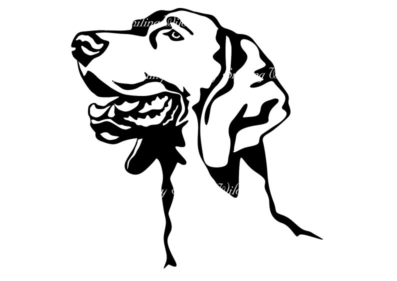 794x562 Hunting Dog Weimaraner Clipart Vector Graphic Art Portrait Etsy