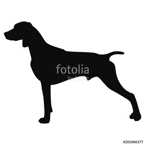 500x500 Black And White Drawing Of A Hunting Dog The Silhouette