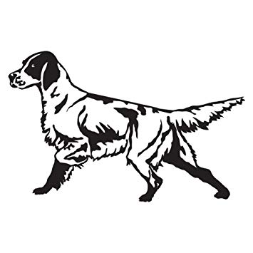 355x355 Express Yourself Products English Setter Detailed