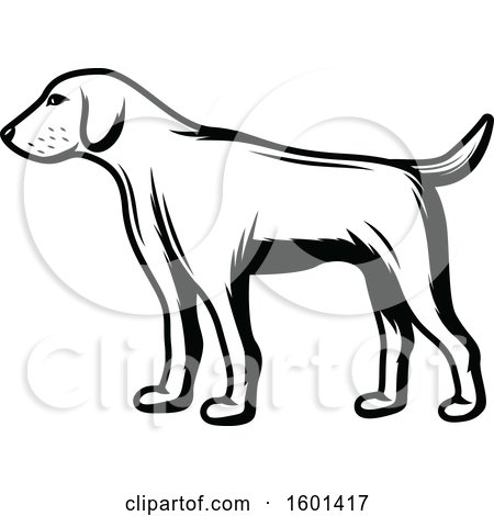 450x470 Clipart Of A Black And White Hunting Dog