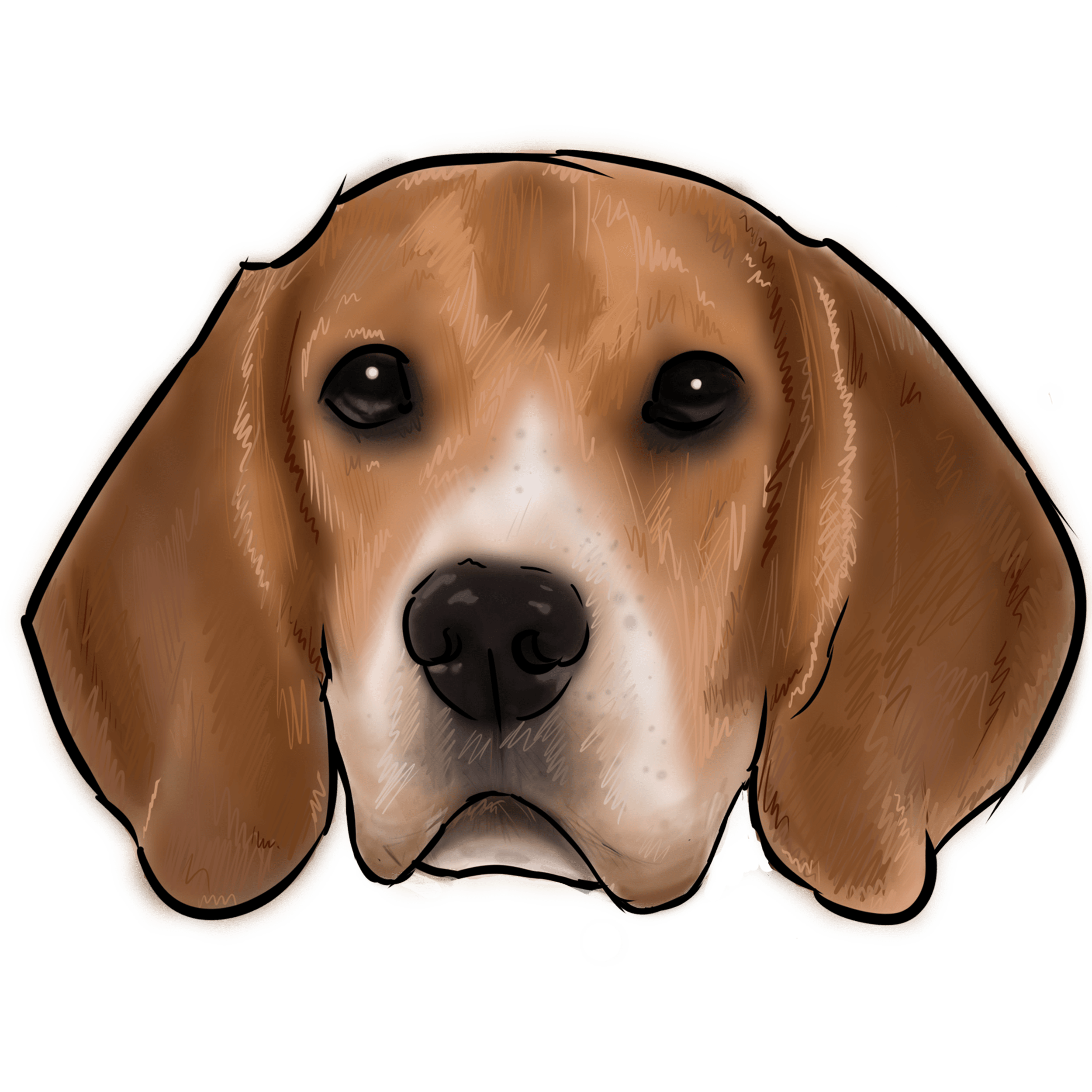 2500x2500 Collection Of Free Beagle Drawing Hunting Download On Ui Ex