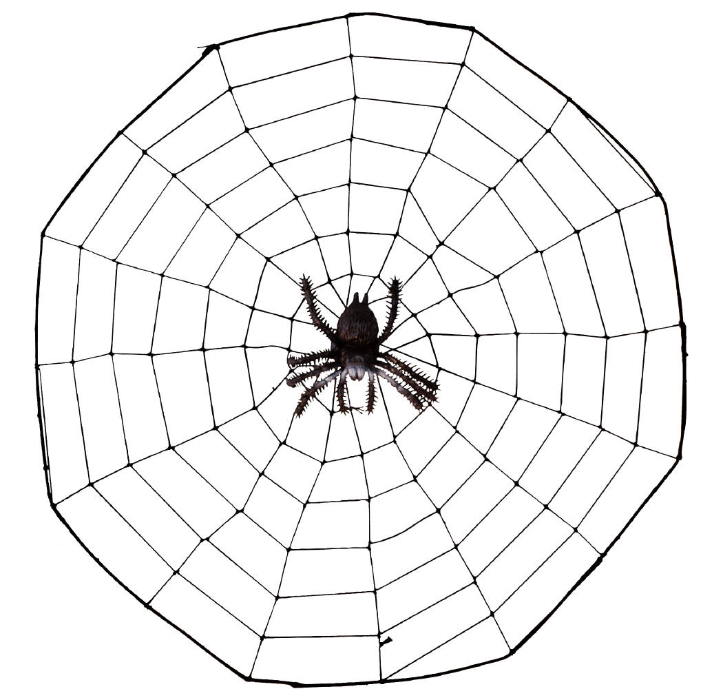 1050x1016 I Just Can't Hurt A Fly