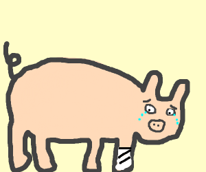 300x250 Injured Pig