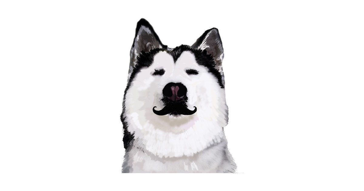 1200x630 Husky Dog