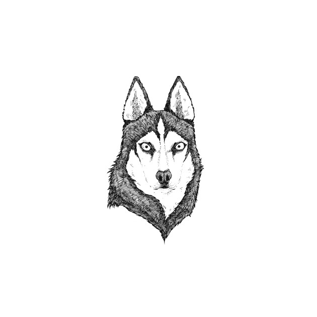 630x630 Husky Dog