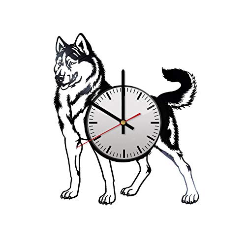 500x500 Siberian Husky Dog Vinyl Wall Clock Perfect Gift