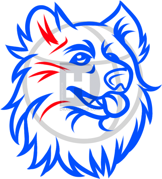 649x720 How To Draw The Connecticut Huskies, Jonathan The Husky, Step