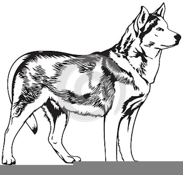 600x573 Huge Collection Of 'husky Dog Clipart' Download More Than