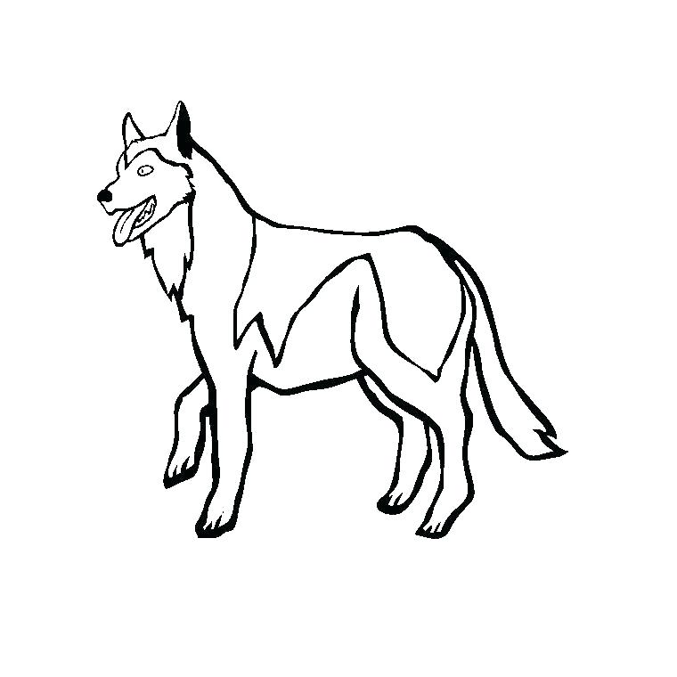760x760 page de coloriage husky husky clip time lapse drawing husky puppy