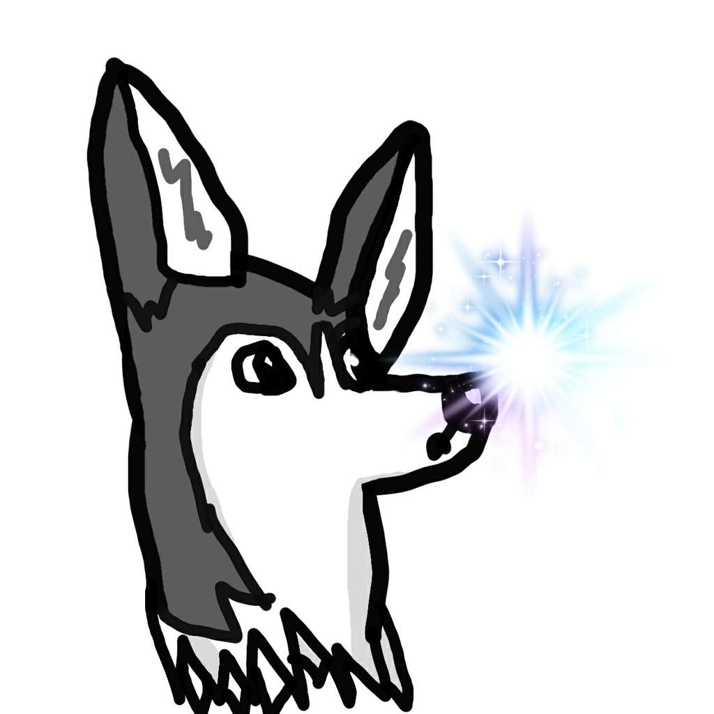 1024x1024 Husky Drawing Art Amino