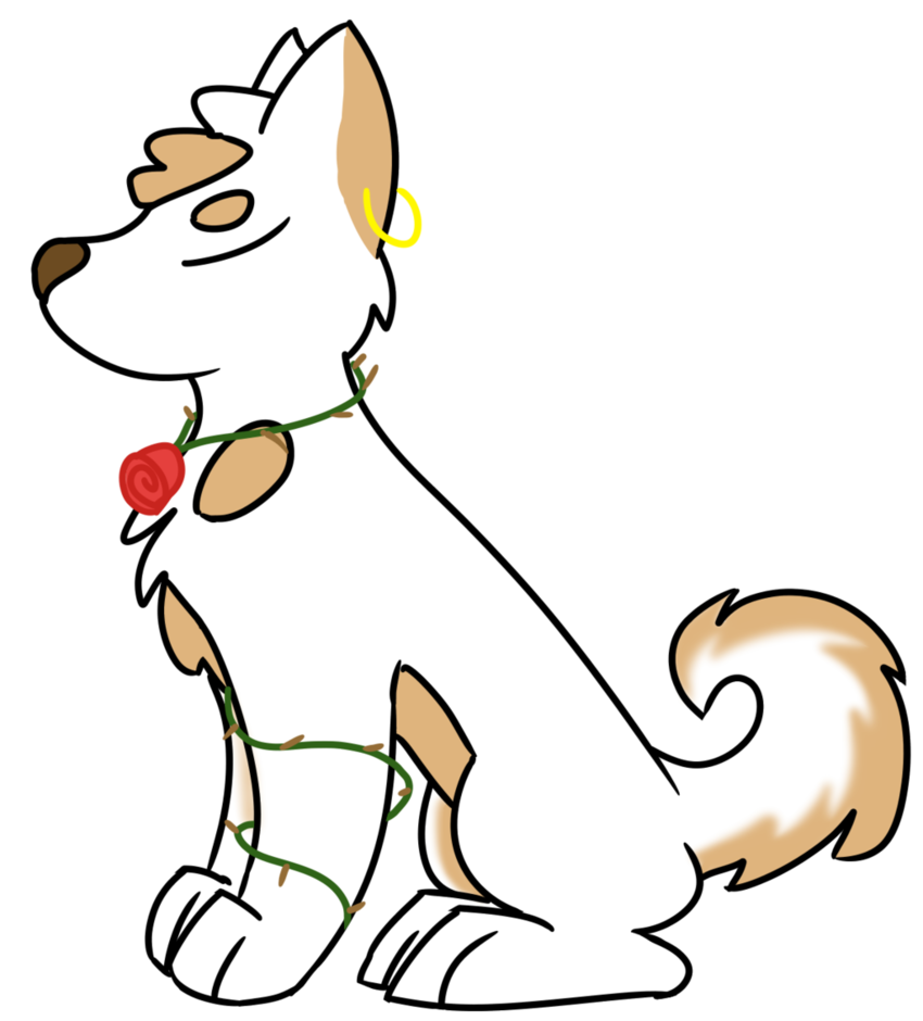 850x940 Drawing Husky Pomsky Transparent Png Clipart Free Download