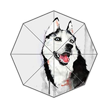 355x355 Freestyle Watercolor Cute Cool Funny Dog Husky Drawing Colored