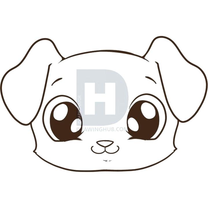 720x720 Drawing A Puppy Step