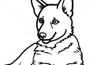 300x210 drawing of a german shepherd dog german shepherd
