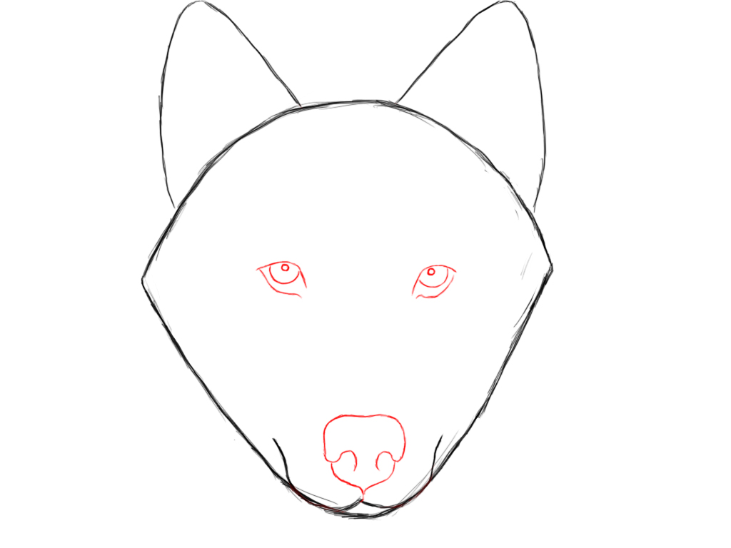 1024x768 Easy Draw Husky Sitting